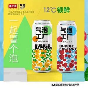ݹɽˮ̹װ500ml