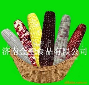 ٶ Ŵ ʳƷ