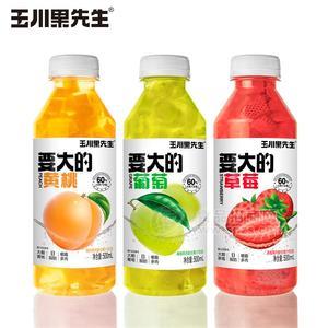 񴨹Ϲ֭ƷϿζ500ml