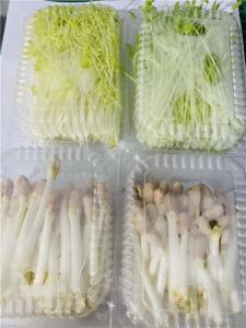 ˮ㶹硢ѿ