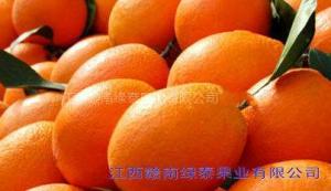 ӦһŷŦɶ