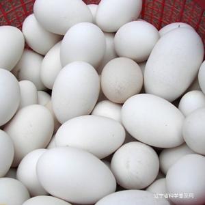 Ӧȵ(ͼ)