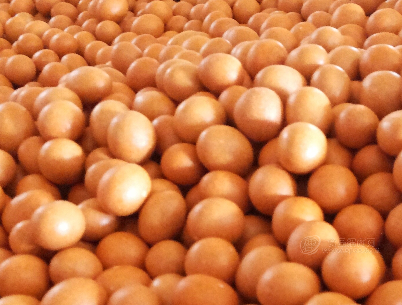׾55%vol ԭ 2008