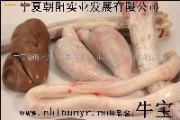 Ӧ**
