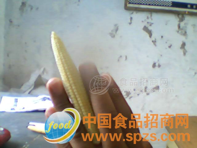 ʳƷ޹˾ҵLOGO