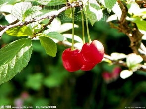 ԰ӣҲժκҵLOGO