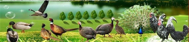 ʱ̬ũҵչ޹˾ҵLOGO